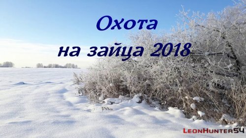 Охота на зайца 2018!!!