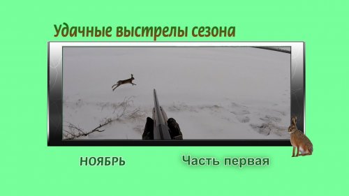Охота на зайца. Удачные выстрелы - часть первая