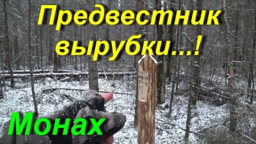 Таёжные вырубки...!
