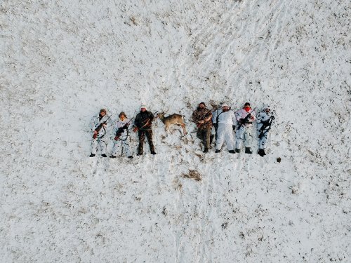 Незабываемая охота на косулю