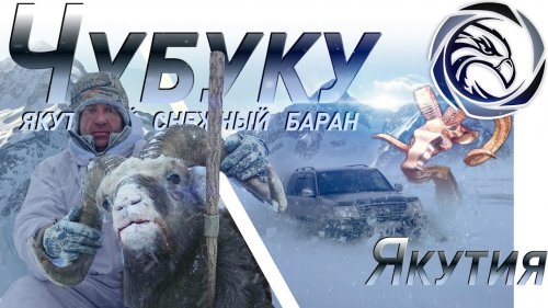 ГОРНАЯ ОХОТА НА ЯКУТСКОГО БАРАНА (2018)