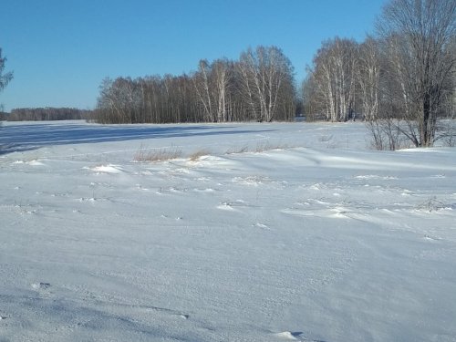 Снега в достатке, только на лыжах.