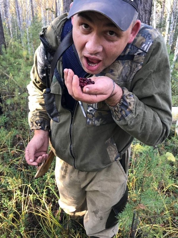 Брусничка.