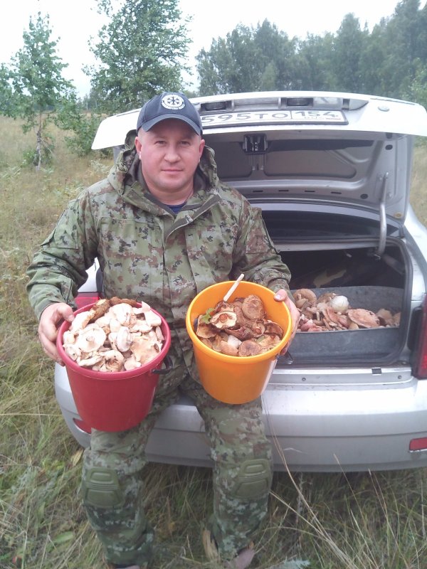 Тихая охота