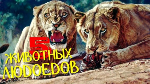 5 ЖИВОТНЫХ ЛЮДОЕДОВ
