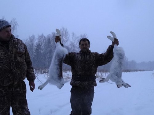 Сезон продолжается