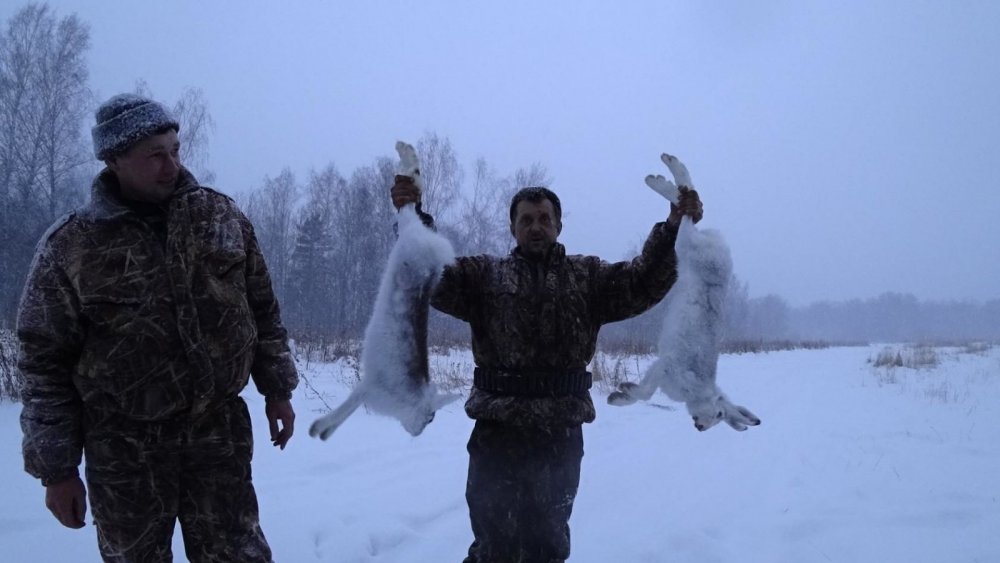 Сезон продолжается