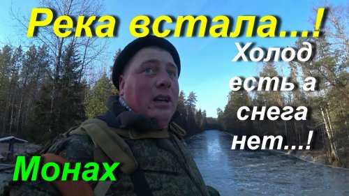 Прогулка по вырубкам с ружьём.