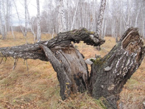 змий, в пасть кошелоту.