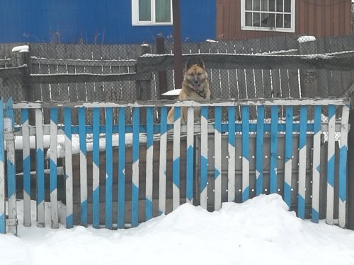 Выходные за косым
