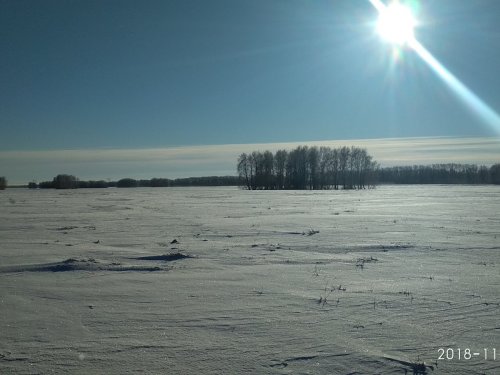 Поля.