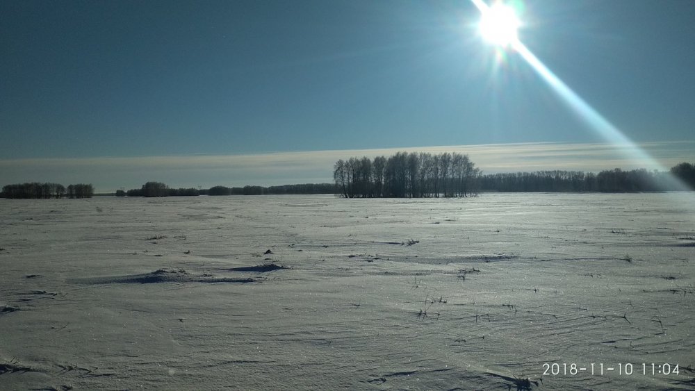 Поля.