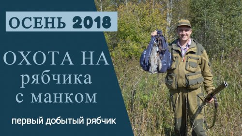 Охота на рябчика с манком. Первый добытый рябчик