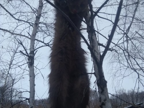 Опять удача