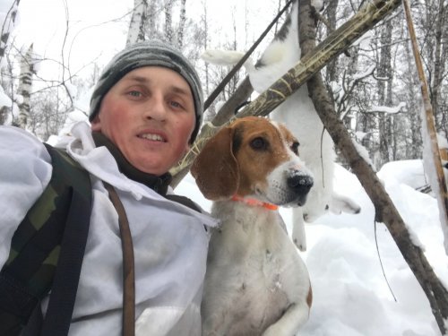 Охота с эстонской гончей