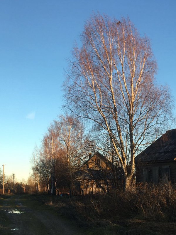 житель старой деревни
