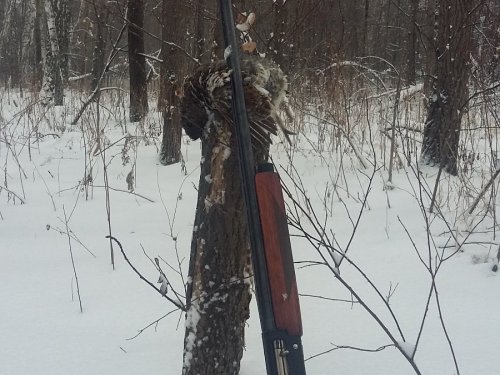 Рябой