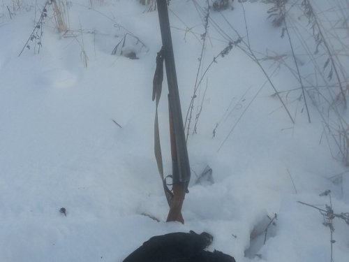 Два черныша