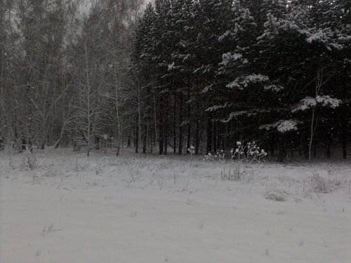 Красота!