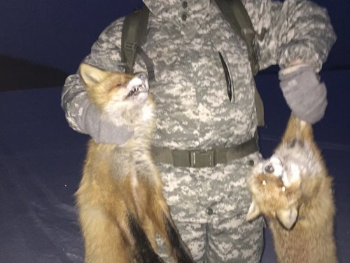 Колобок оказался проворней )))