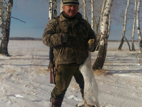 Русак