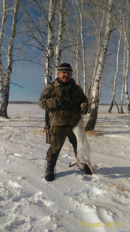 Русак