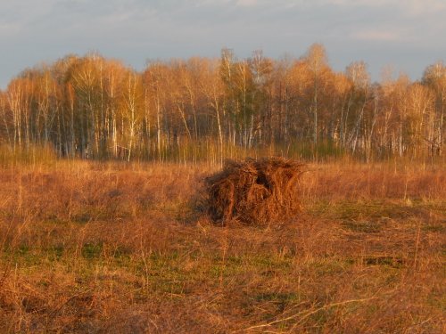 Как в матушке природе.