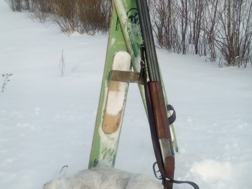 Первый утренний