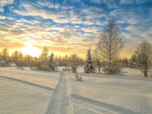 земля замерзла, можно ездить