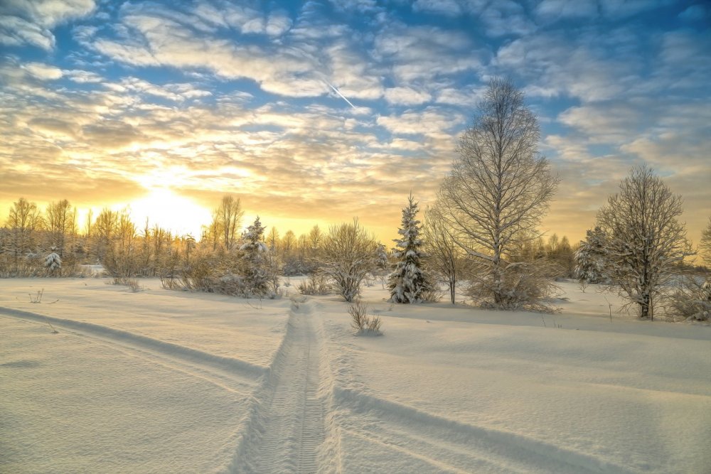 земля замерзла, можно ездить
