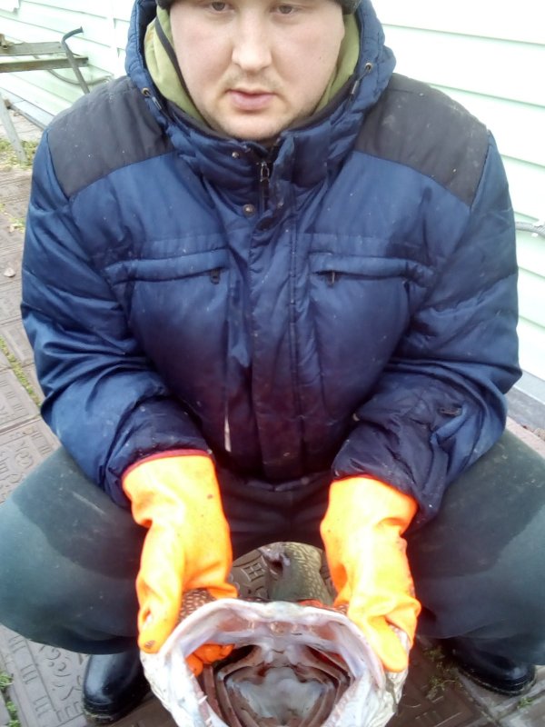 Трофей