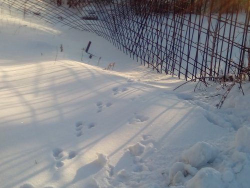 Наследил
