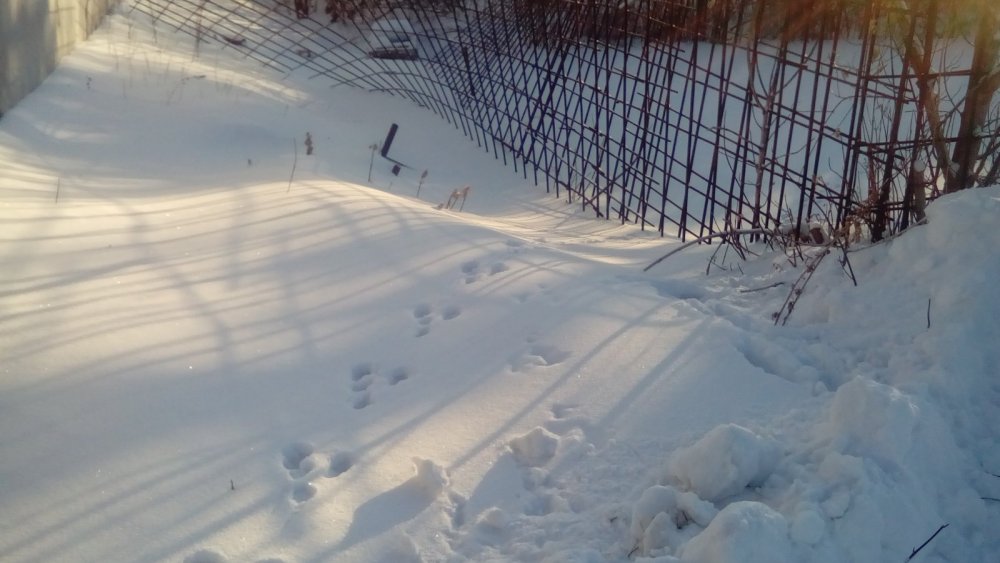 Наследил