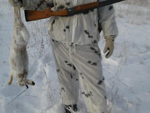 друг и напарник по охотам на русаков.