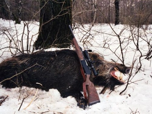 Новогодняя охота