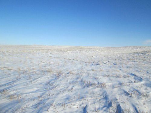 В охоте Мысли миг...