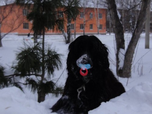 Иногда хочется вернуться в Детство.......
