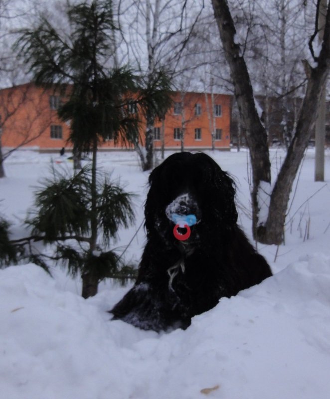 Иногда хочется вернуться в Детство.......