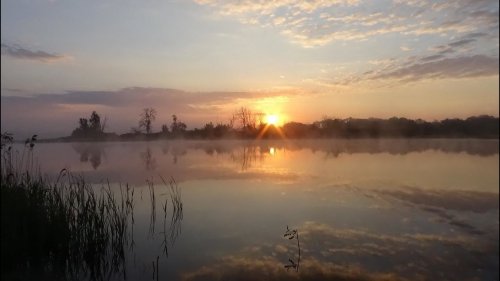 Ловля пробкой , рыбалка в заливе реки. Путешествие по реке.