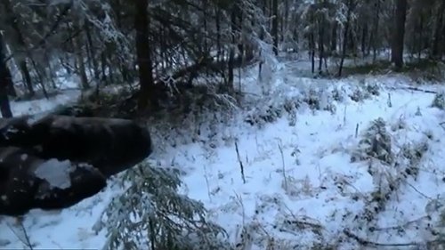 Поход 20 км по осеннему лесу.
