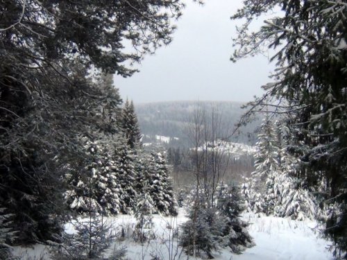 Самооборона