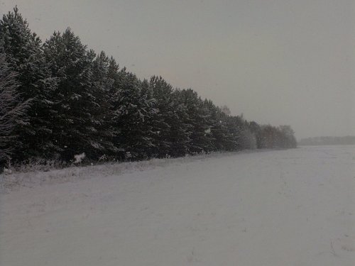 Красота!