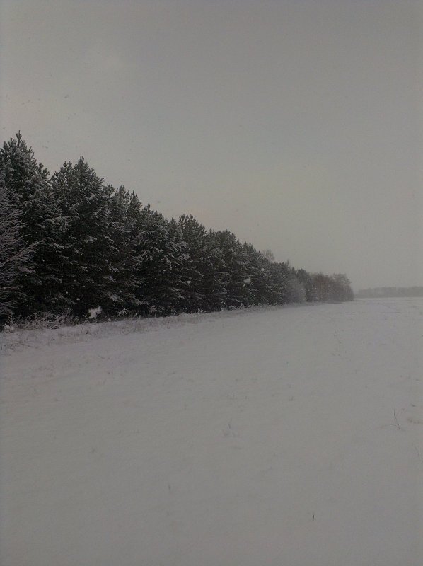 Красота!