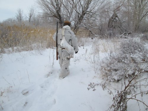 Сегодня без зятя)))