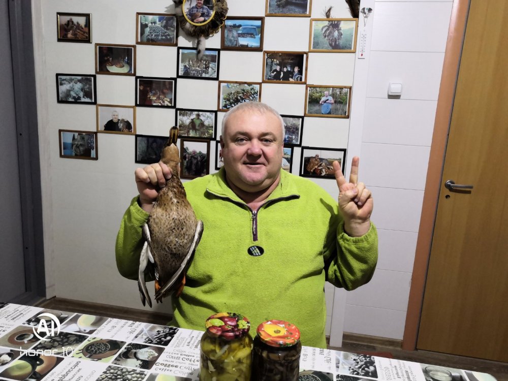 Добыта утка кряква
