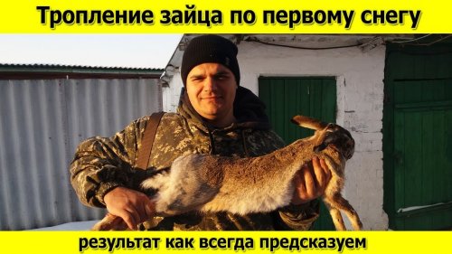 Как я стреляю зайцев по первому снегу  Тропление зайца  Охота на зайца 2018