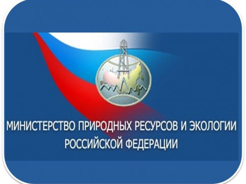Будет создан департамент охоты