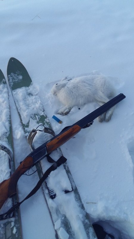 Белячок 23.12.18