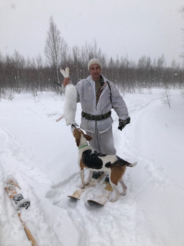 Очередной