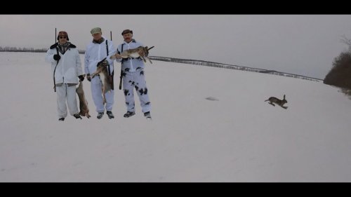 Охота на зайца.